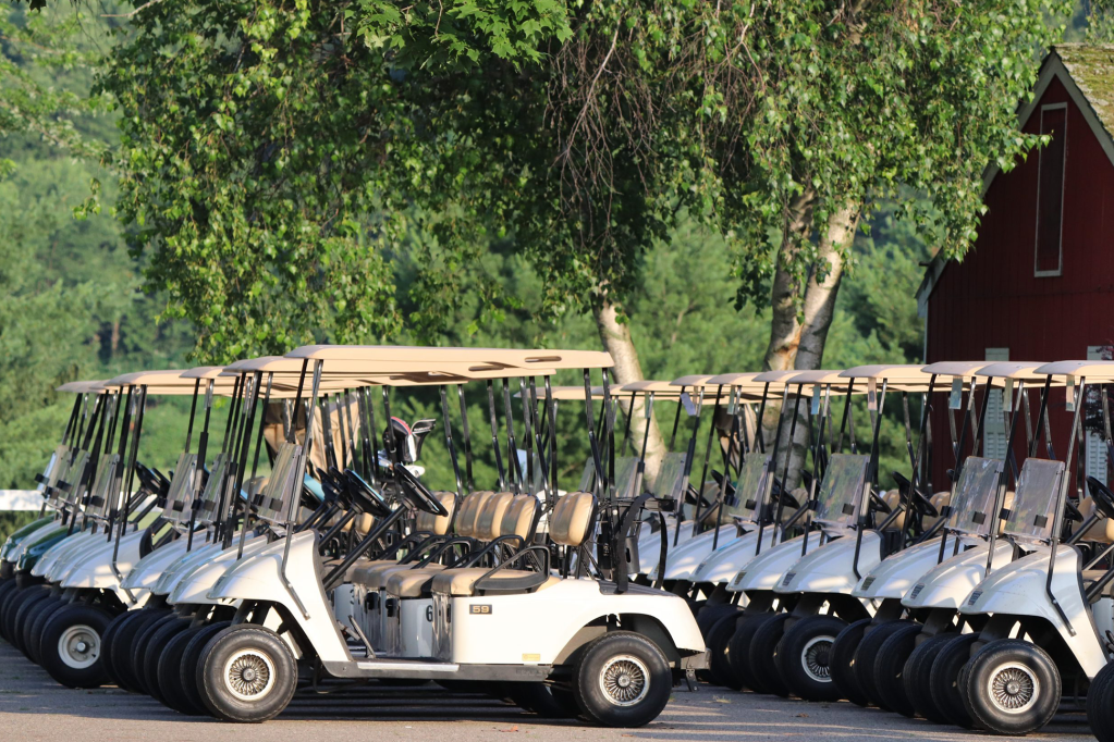row of golf carts
